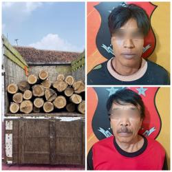 Polisi Tangkap Pelaku Pembalakan Liar, Korban Jatuh ke Jurang Saat Kabur