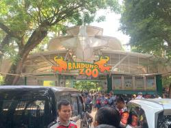Kebun Binatang Bandung Tutup Sementara karena Konflik, Pengunjung Gigit Jari
