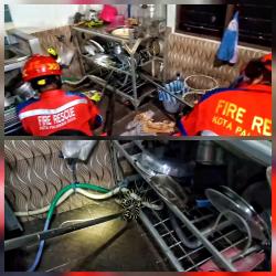 Damkar Evakuasi Ular Wuling Sepanjang Satu Meter di Dapur Rumah Warga Palangka Raya