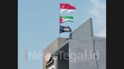Bendera One Piece, Palestina dan Merah Putih Berkibar Satu Tiang