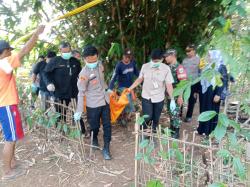 Mayat Perempuan Lansia Ditemukan Terbakar di Kebun Bambu Pabuaran