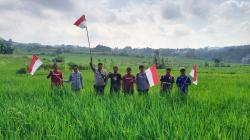 Sambut HUT ke-80 RI, Seribu Bendera Merah Putih Berkibar di Sawah Kampung Pasanggrahan Tasikmalaya