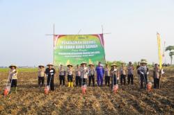 Manfaatkan 10 Hektare Sawah Baku, Polres Subang Tanami Jagung Dukung Ketahanan Pangan