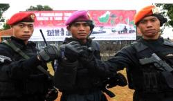 Payung Hukum Kopassus, Marinir, Kopasgat Bakal Dipimpin Panglima Bintang 3, Dilantik Prabowo Besok