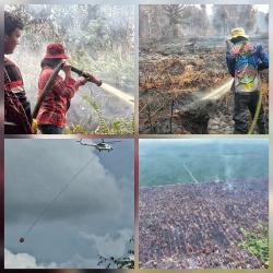 Tim Dalkarhutla dan Helikopter Water Bombing Padamkan Karhutla di Kecamatan Mantangai Kapuas