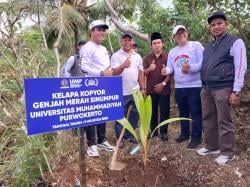Tanam Kelapa Kopyor di Makam Kakek Prabowo, UMP Luncurkan Program Profesor Berdampak