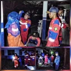 Sarang Tawon Vespa di Kantin SMA 5 Palangkaraya Dievakuasi Damkar Usai Sengat Dua Warga