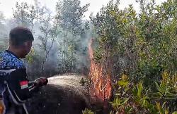 Tim Dalkarhutla Dishut Kalteng Berhasil Padamkan Kebakaran Lahan 0,16 Hektare di Palangka Raya