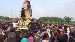 Antusias Luar Biasa !! Ribuan Warga Ricuh Berebut Gunungan Haul Ki Ageng Jaka Tarub