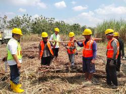 Panen Raya Tebu di Tengah Hutan Blora, Perhutani Libatkan Warga dan Pabrik Gula