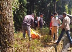 Diduga Tersengat Listrik, Pekerja Sawit di Subang Ditemukan Tewas di Perkebunan PTPN 3