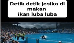 Viral, Detik-Detik Jessica Radcliffe Pelatih Lumba Lumba Orca Tewas Dimakan Hewan yang Diasuhnya