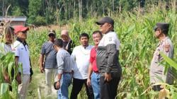 Polisi Ubah 30 Hektare Lahan Tidur di Lingga Jadi Kebun Jagung