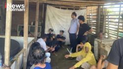 Penggerebekan di BTN Yosi, Polisi Ringkus 12 Pelaku Perjudian Ayam Bangkok dan Sita Rp16 Juta