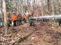 Memasuki Musim Kemarau, Perhutani Gandeng BPBD Gelar Simulasi Pencegahan Karhutla
