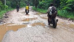 Jalan Margasari–Pagerbarang Kabupaten Tegal Rusak Parah, DPUPR Janji Segera Perbaiki