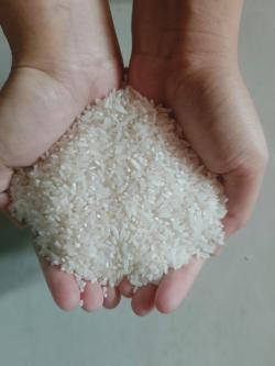 Dampak Isu Beras Oplosan, Produksi Beras Sragen Lumpuh, PERPADI Minta Pemerintah Bertindak Cepat