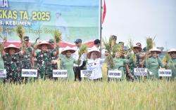 Panen Raya Padi di Kebumen, Pangdam IV/Diponegoro Dorong Swasembada Pangan Nasional