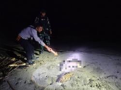 Mayat Bayi Laki-Laki Ditemukan di Pantai Skouw Sae, Polisi Lakukan Penyelidikan Intensif