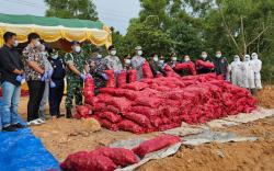 Karantina Kepri Musnahkan 4 Ton Bawang Merah Ilegal Tangkapan Bakamla