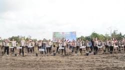 Langkah Keren Polda Babel: Hijaukan Lahan Eks Tambang dengan Penanaman 8.000 Bibit Pohon Kayu Putih
