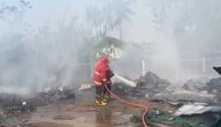 Si Jago Merah Mengamuk! Lapak Pengepul di Serang Habis Terbakar