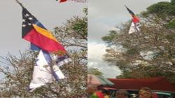 Viral, Dua Bendera Negara Asing Berkibar di Pohon Mangga Dekat Kantor Polisi di NTT
