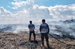 0,65 Hektare Lahan di Palangka Raya Kembali Terbakar, Sulitnya Akses Jalan menjadi kendala Pemadaman
