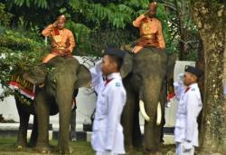 Unik! Gajah Jovi dan Vera Jadi Petugas Upacara HUT ke-80 RI di BBKSDA Riau