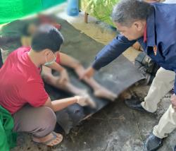 Kesetrum Listrik Jebakan Tikus, Seorang Remaja Meninggal Dunia di Sawah