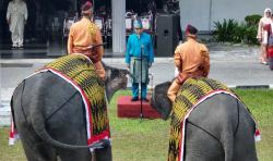 Unik, Dua Gajah Sumatera Ikut Jadi Petugas Upacara HUT RI di Riau