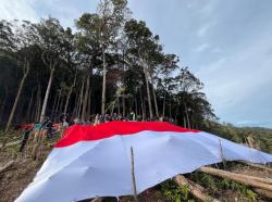 Pengibaran Bendera Raksasa di Bur Kelieten: Simbol Nasionalisme dan Perlawanan terhadap Pembalakan