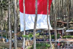 Melihat Merah Putih Raksasa Berkibar Gagah di Hutan Pinus Kawasan Lereng Ciremai