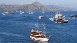 Krisis BBM di Labuan Bajo Bikin Wisatawan Gagal Berlayar, Pemandu Wisata Protes Keras