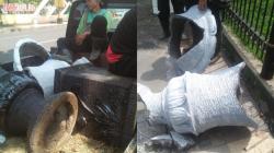 Pot Bunga Dekat Masjid Agung Kota Tasikmalaya yang Baru Dipasang Ambruk, Ini Kata DLH