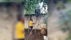 Viral, Motor Tersangkut di Tembok Rumah, Diduga akibat Percobaan Pencurian Gagal