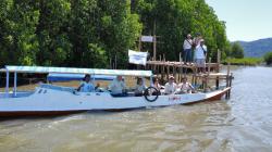 100 Ribu Mangrove Tumbuh di Golo Sepang, Harapan Baru Ekosistem Pesisir NTT