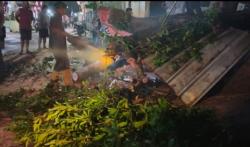 Angin Kencang Tumbangkan Pohon, Jalan Lemahabang–Leuwidinding Cirebon Sempat Terputus