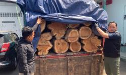 Anggota Polres Ponorogo Mendadak Hentikan Truk Bawa Puluhan Gelondong Kayu Jati