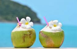 Harga Kelapa Melonjak Lebih dari 200 Persen, Ini Sebabnya
