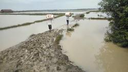Kuwu Kertawinangun: Jalan Rusak ke Tambak Garam Bukan Tanggung Jawab Desa