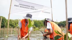 Rayakan HUT RI, Perusahaan Ini Gandeng Warga Tanam 5.000 Mangrove di Pesisir Muaragembong