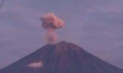 Semburkan Abu Vulkanik 700 Meter, Gunung Semeru Kembali Erupsi