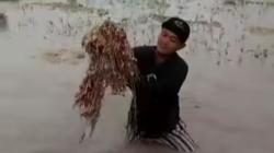 Hujan Salah Musim, Ratusan Hektare Sawah di Nganjuk Terendam Air Petani Merugi