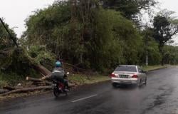 Hujan di Pemalang: Fenomena Unik di Tengah Puncak Musim Kemarau