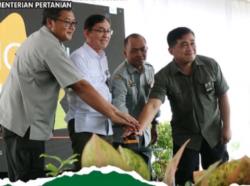 Kementan Luncurkan SIFORTUNA, Aplikasi Canggih Prediksi Serangan Hama Tanaman