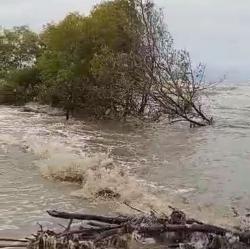 Enam Desa di Karawang Dilanda Banjir Rob, 3.332 Jiwa Terdampak