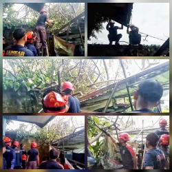 Damkar Palangka Raya Evakuasi Pohon Singkong Kayu Besar Tumbang Timpa Atap Parkiran