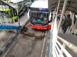Musik Hilang dari Bus di Terminal Purabaya Sidoarjo, Sopir Kecewa, Penumpang Merasa Hampa