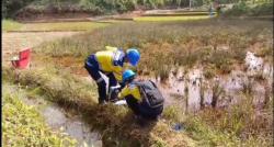 Buntut Pencemaran Areal Pesawahan Warga Tegal Wangi Jasinga, Dinas LH Kabupaten Bogor Sidak Lokasi